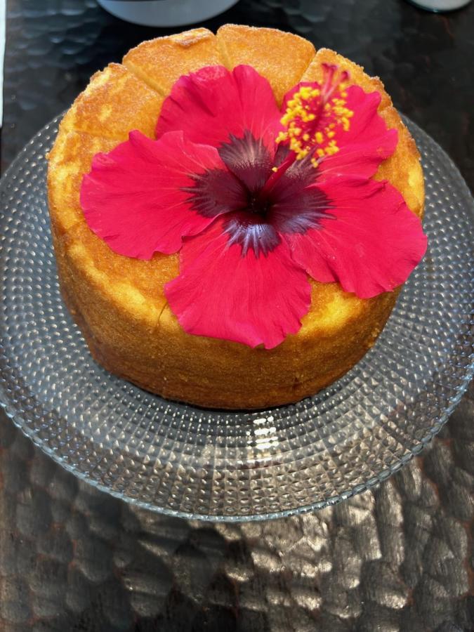 Casa Amarela Bed & Breakfast Angra dos Reis Dış mekan fotoğraf